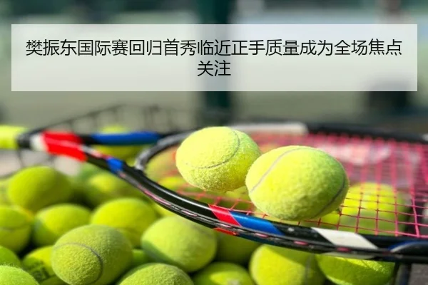 樊振东国际赛回归首秀临近正手质量成为全场焦点关注
